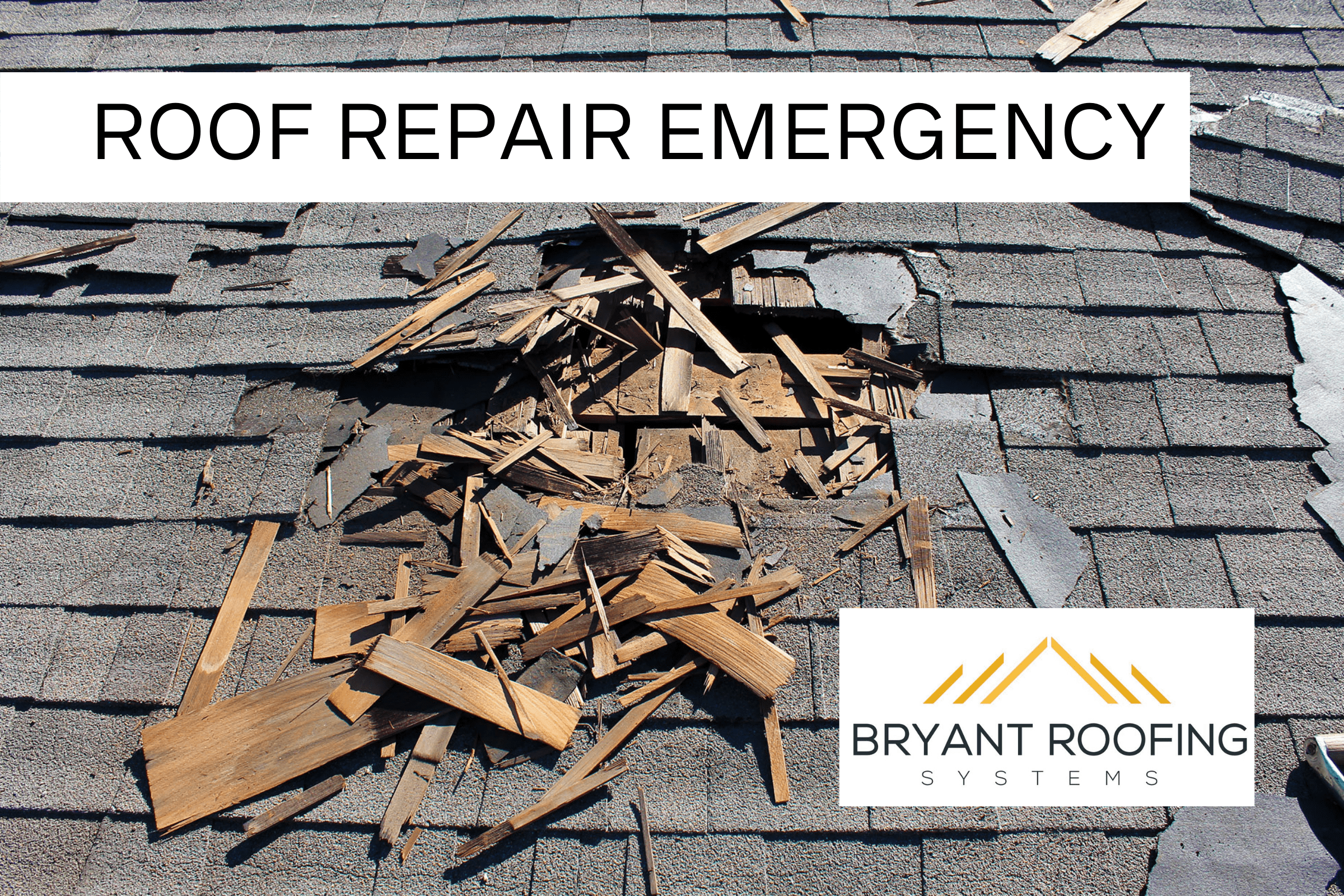 SHINGLE REPAIR