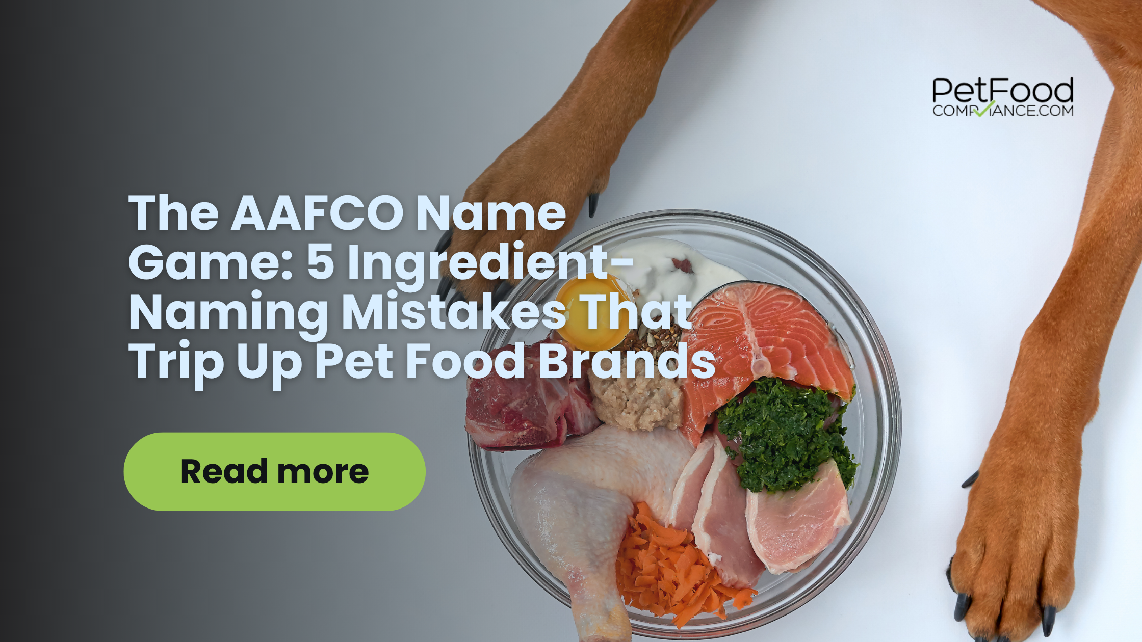 Bowl of raw pet food ingredients—salmon, chicken, egg, and greens—surrounded by a dog's paws, promoting a blog post on AAFCO ingredient-naming rules for pet food labels.