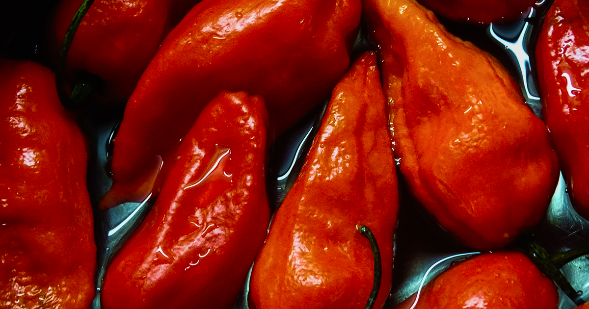 fermented hot sauce
