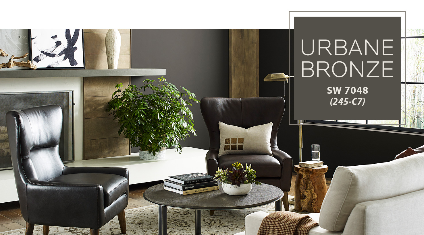Sherwin Williams 2021 Paint Color of the Year