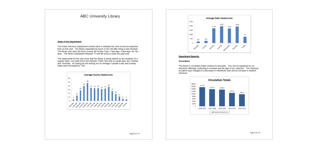 This is a screenshot from the beginning of the report that offered background information about the library, like how many visitors came to the library each hour and each day.