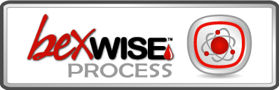 bexWISE Process