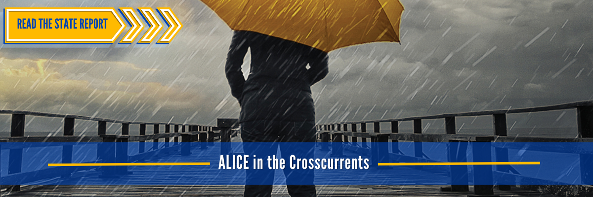 ALICE in the Crosscurrents: Read the State Report