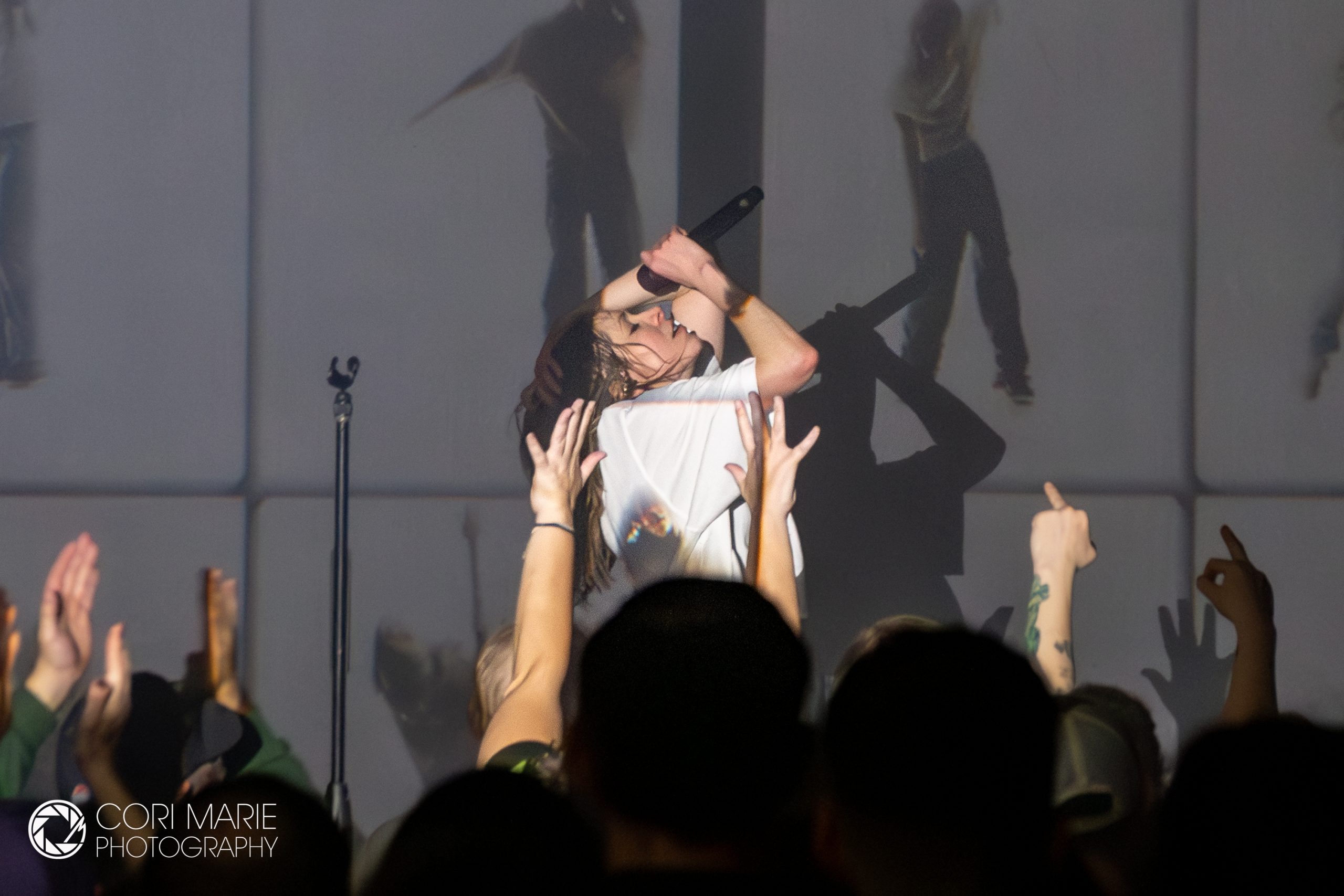 singer on stage in front of crowds