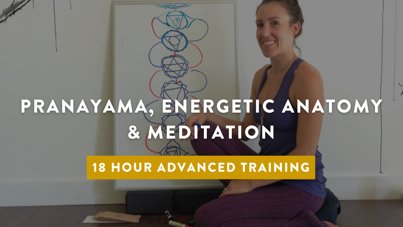 image of yoga student being adjusted in yoga class with words: understanding common conditions and pain - 18 hr advanced yoga teacher training