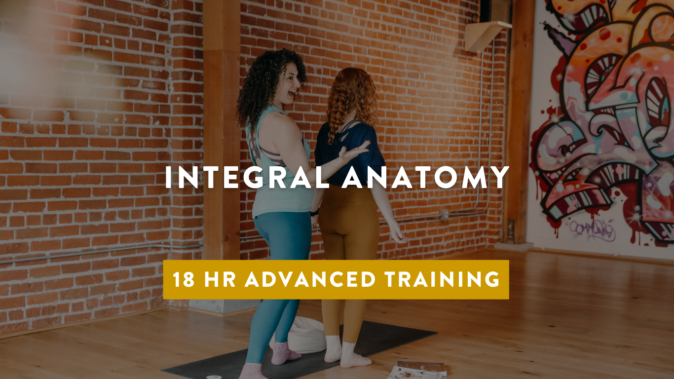 image of teacher demonstrating anatomy with words integral anatomy yoga teacher training