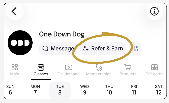 image of the one down dog los angeles yoga and fitness app 